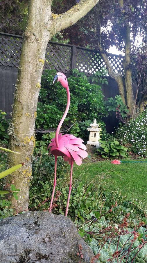 Berni'S Boutique Bnb Christchurch Exteriör bild