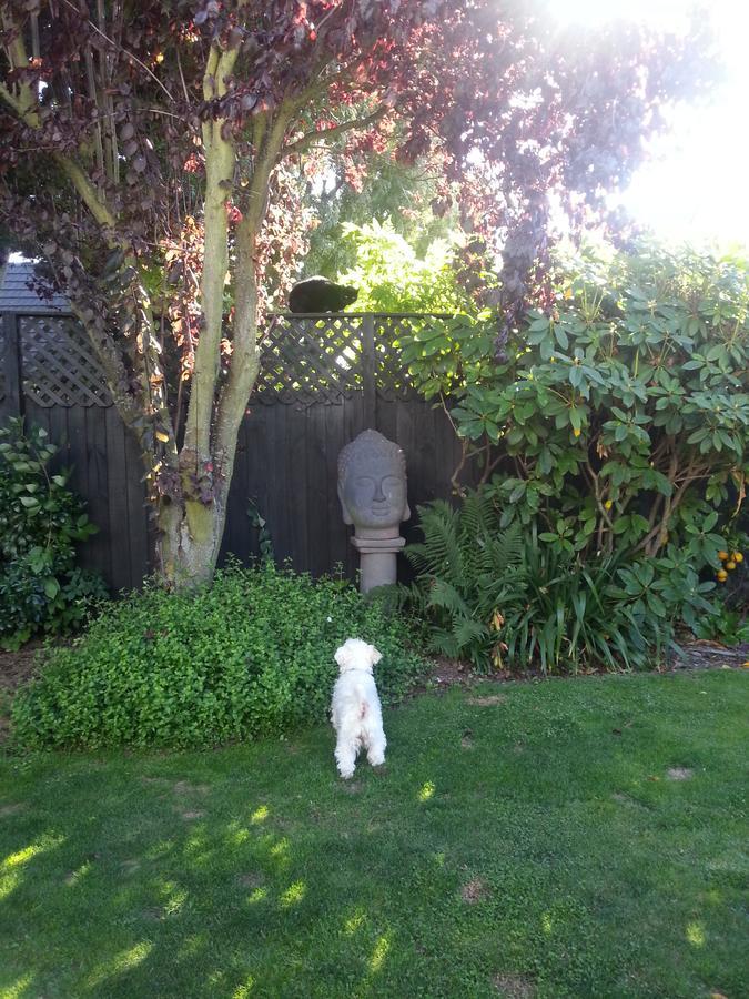 Berni'S Boutique Bnb Christchurch Exteriör bild