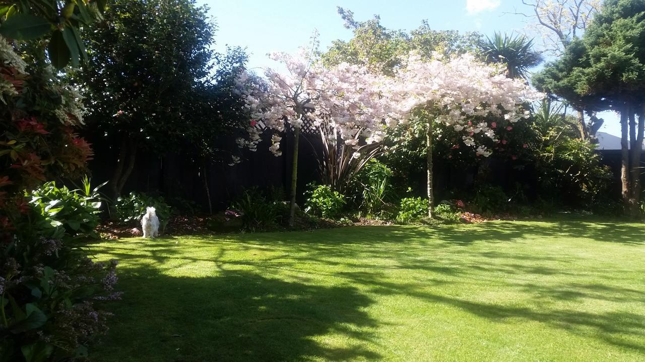 Berni'S Boutique Bnb Christchurch Exteriör bild
